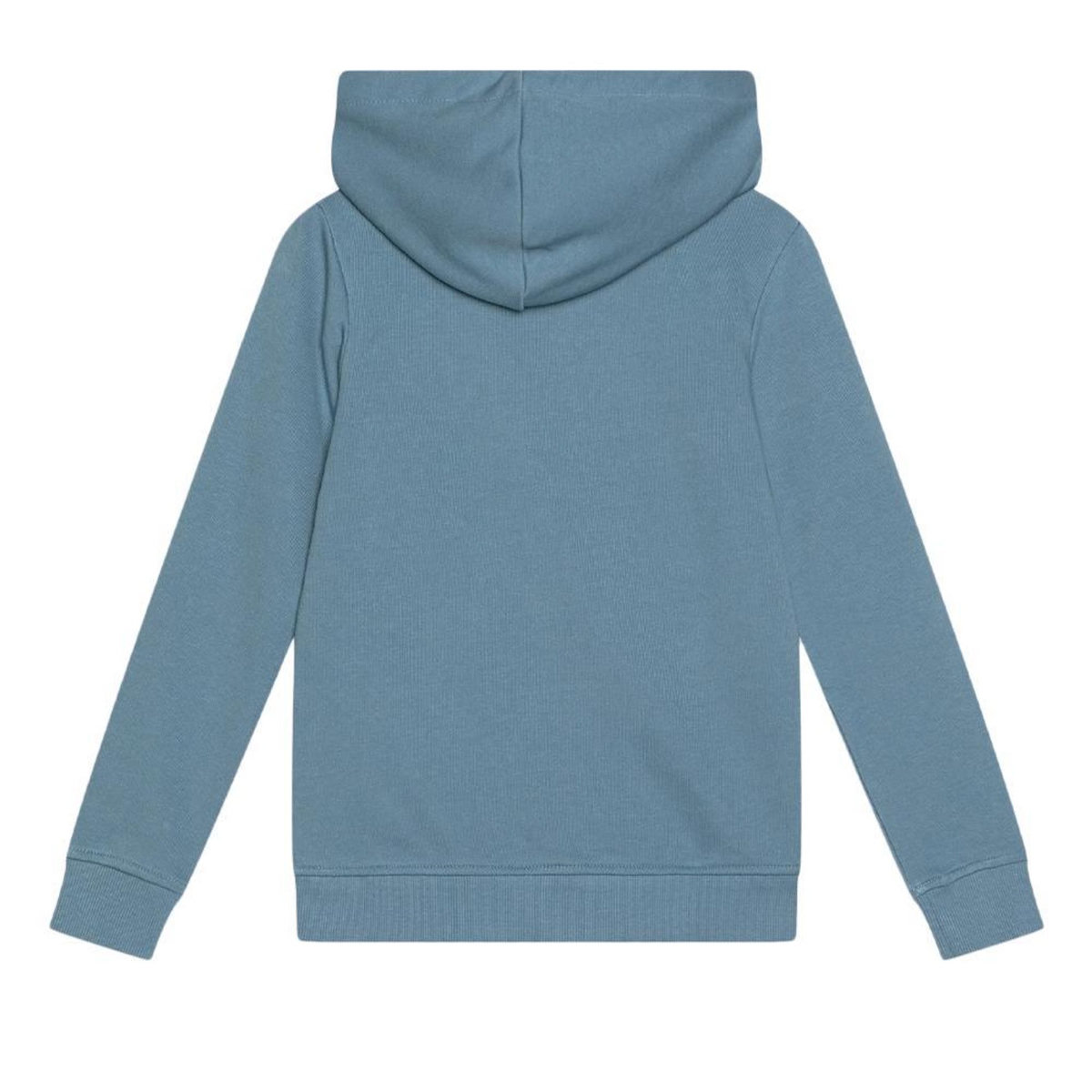Jack & Jones Sweat Bleu Garçon Jack & Jones Forest