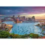  Puzzle 1000 pièces :  Horizon de Sydney