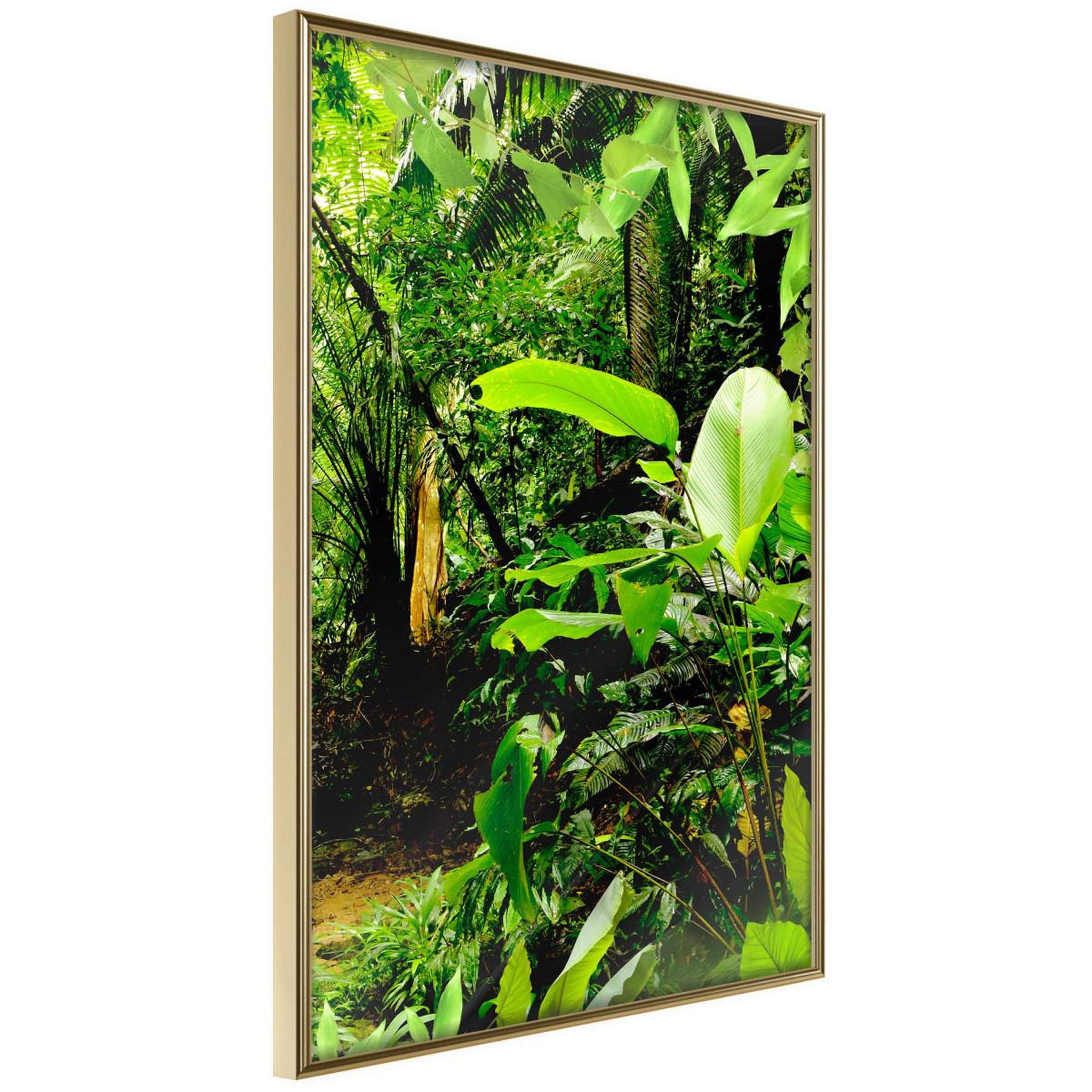 Paris Prix Affiche murale encadrée  in the rainforest
