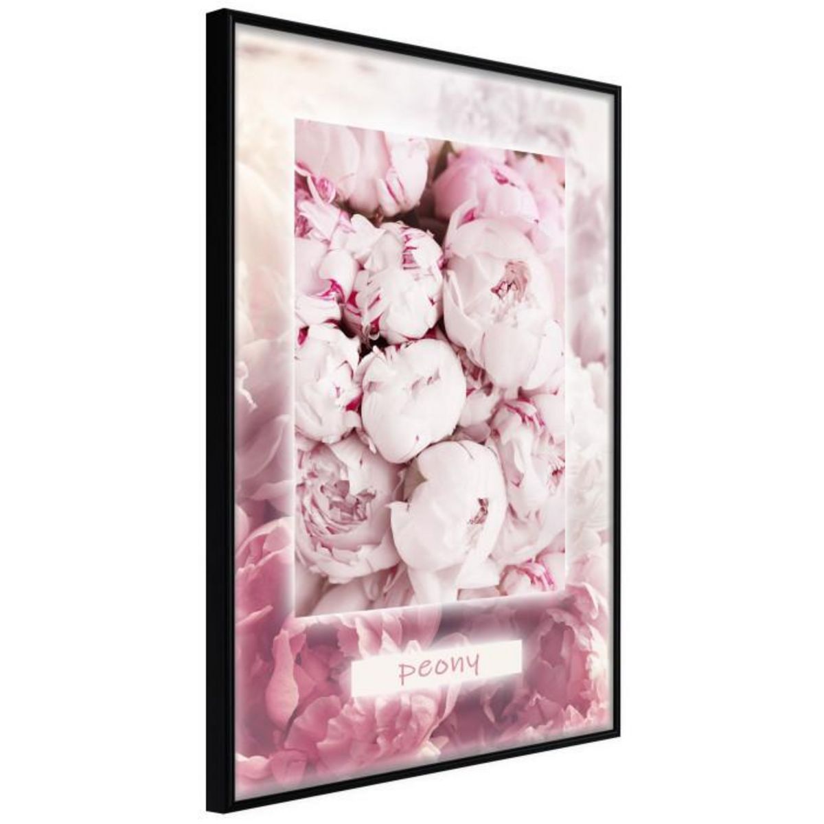 Paris Prix Affiche Murale Encadrée  Scent of Peonies