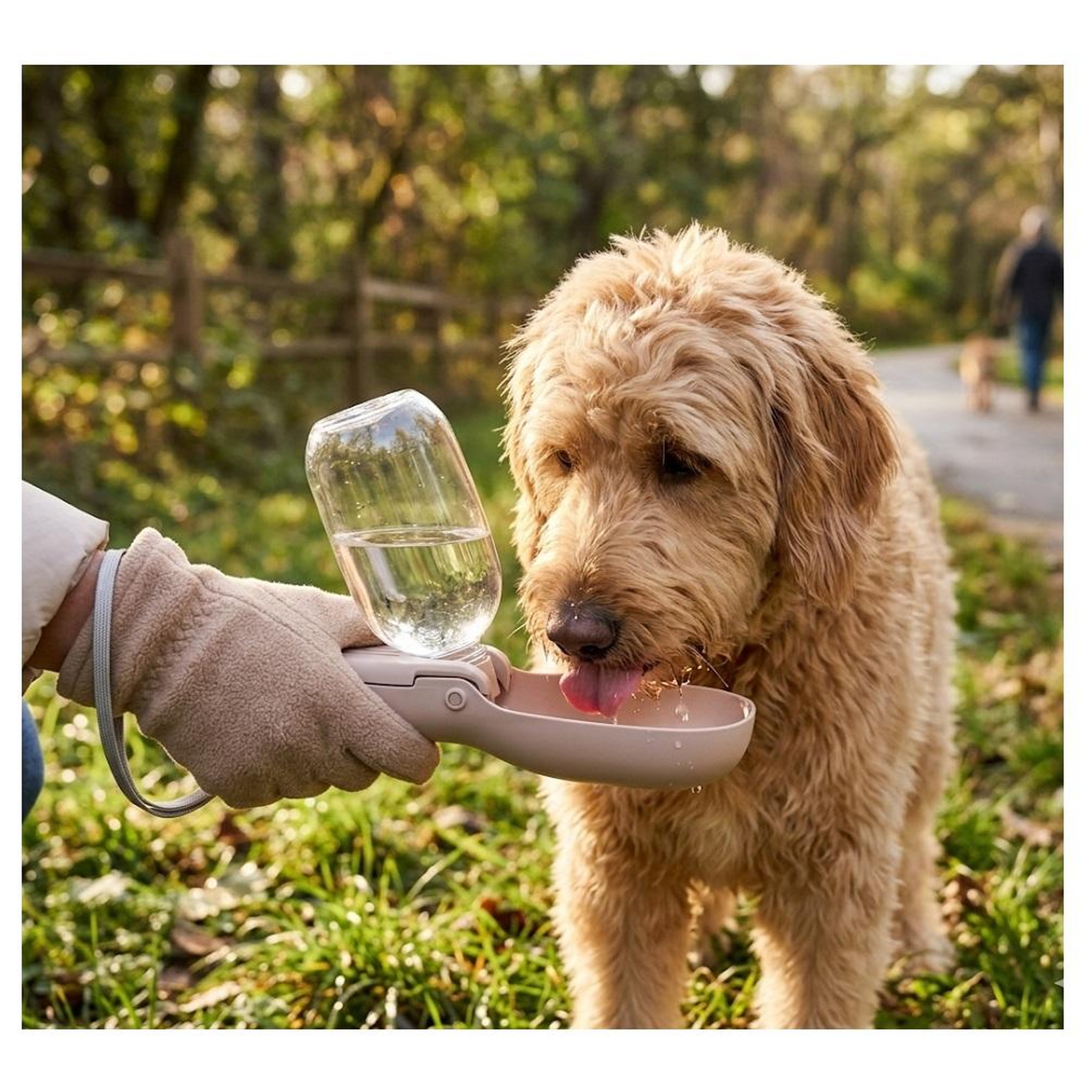 Voir la diapositive 2 : Eden Bouteille d'eau portable avec compartiment a friandises pour chien