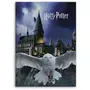 HARRY POTTER Harry Potter - Plaid Polaire Enfant Poudlard Hedwige - Couverture