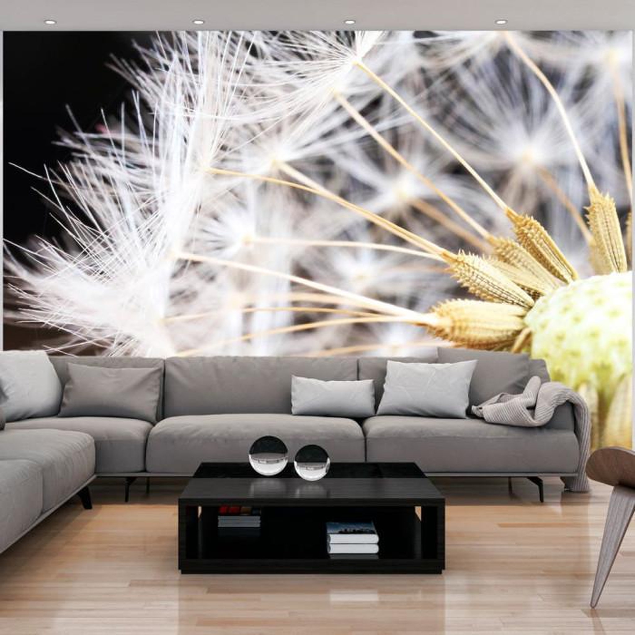 Paris Prix Papier Peint  Fluffy Dandelion. Coloris disponibles : Multicolore