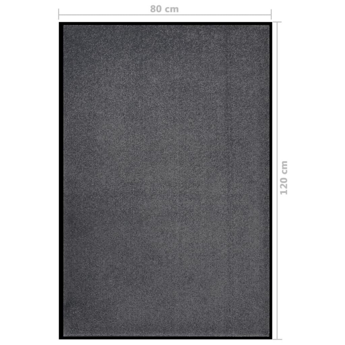 VIDAXL Paillasson Anthracite 80x120 cm