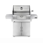 NAPOLEON Barbecue à charbon Charcoal Professional PRO605 - Napoleon