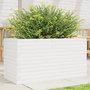 Voir la diapositive 1 : VIDAXL Jardiniere blanc 90x40x46 cm bois de pin massif