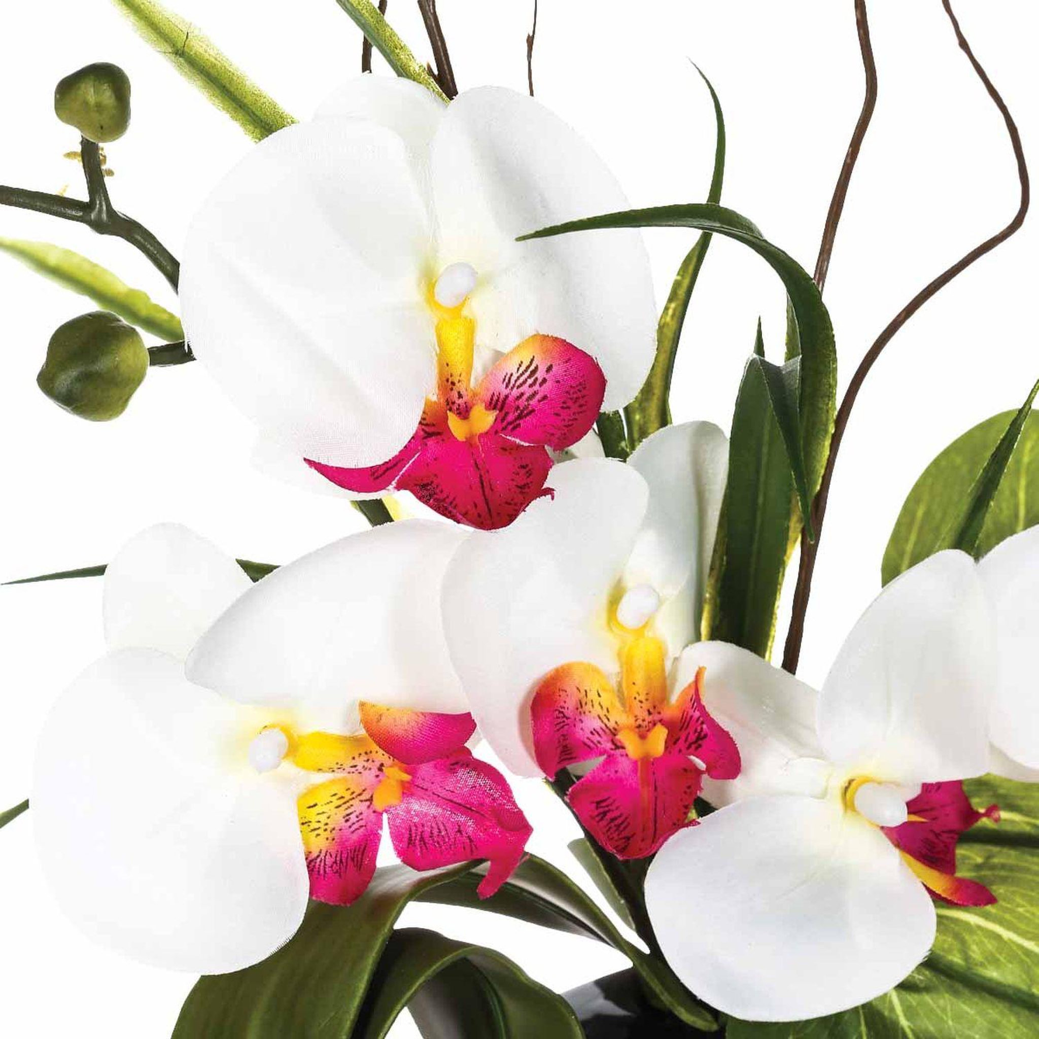 Voir la diapositive 3 : ATMOSPHERA Composition florale vase  - hauteur 44 cm - orchidée