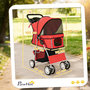 Voir la diapositive 3 : PAWHUT Poussette buggy pliable pour chiens tissu 600D Oxford imperméable 4 roues gris clair