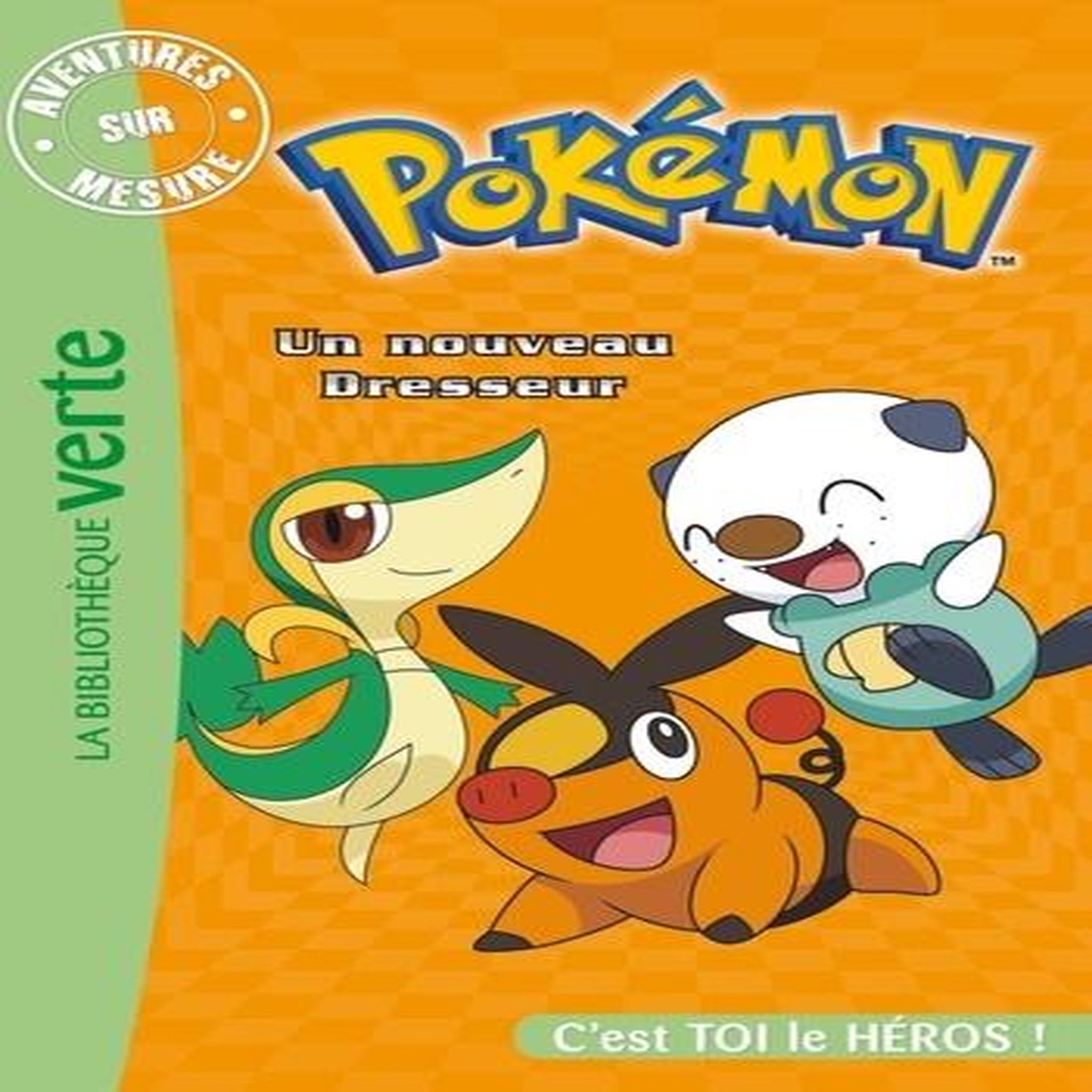 AVENTURES SUR MESURE : POKEMON. UN NOUVEAU DRESSEUR, Godeau Natacha