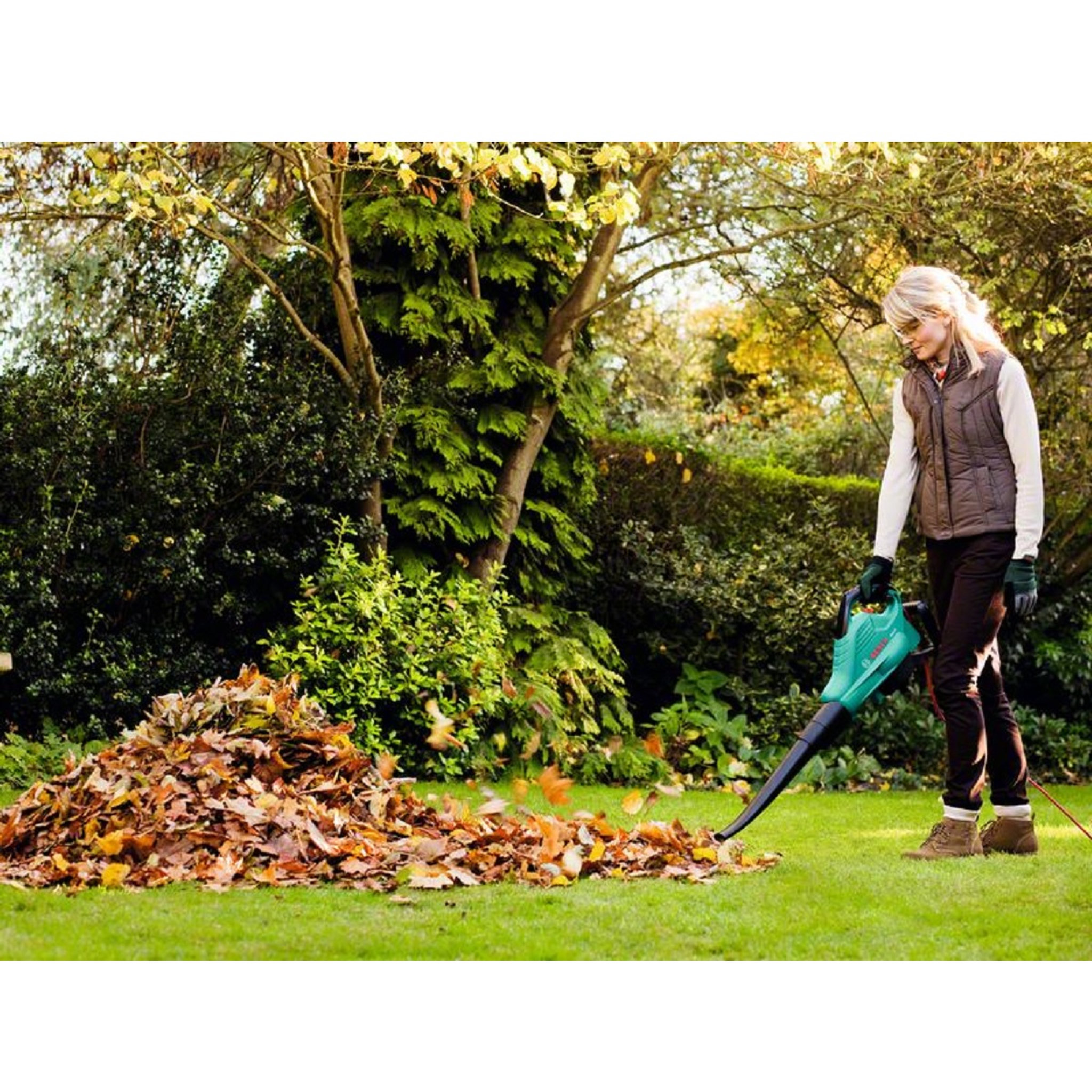 Voir la diapositive 5 : BOSCH Aspi-souffleur ALS 2400