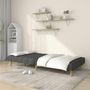 Voir la diapositive 3 : VIDAXL Canape-lit a 2 places gris fonce tissu