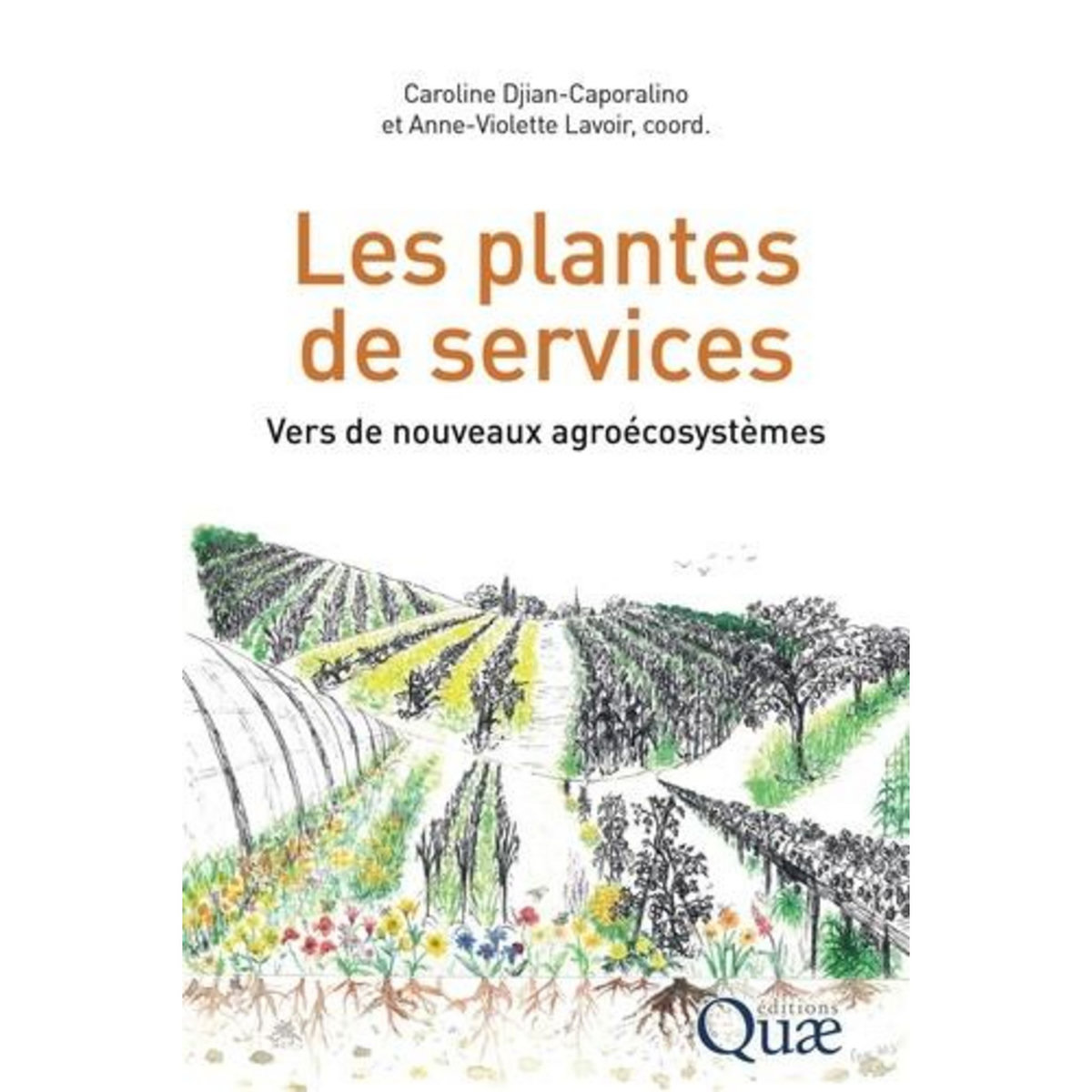 LES PLANTES DE SERVICES. VERS DE NOUVEAUX AGROECOSYSTEMES, Djian-Caporalino Caroline
