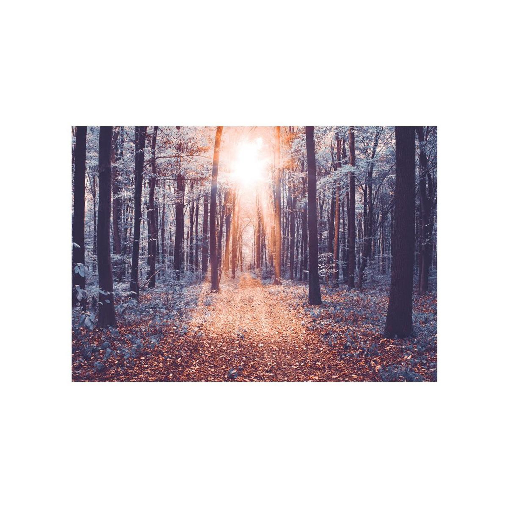 Voir la diapositive 2 : Paris Prix Papier peint  edge of the sun