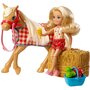 MATTEL Coffret Chelsea et son poney à la ferme Barbie