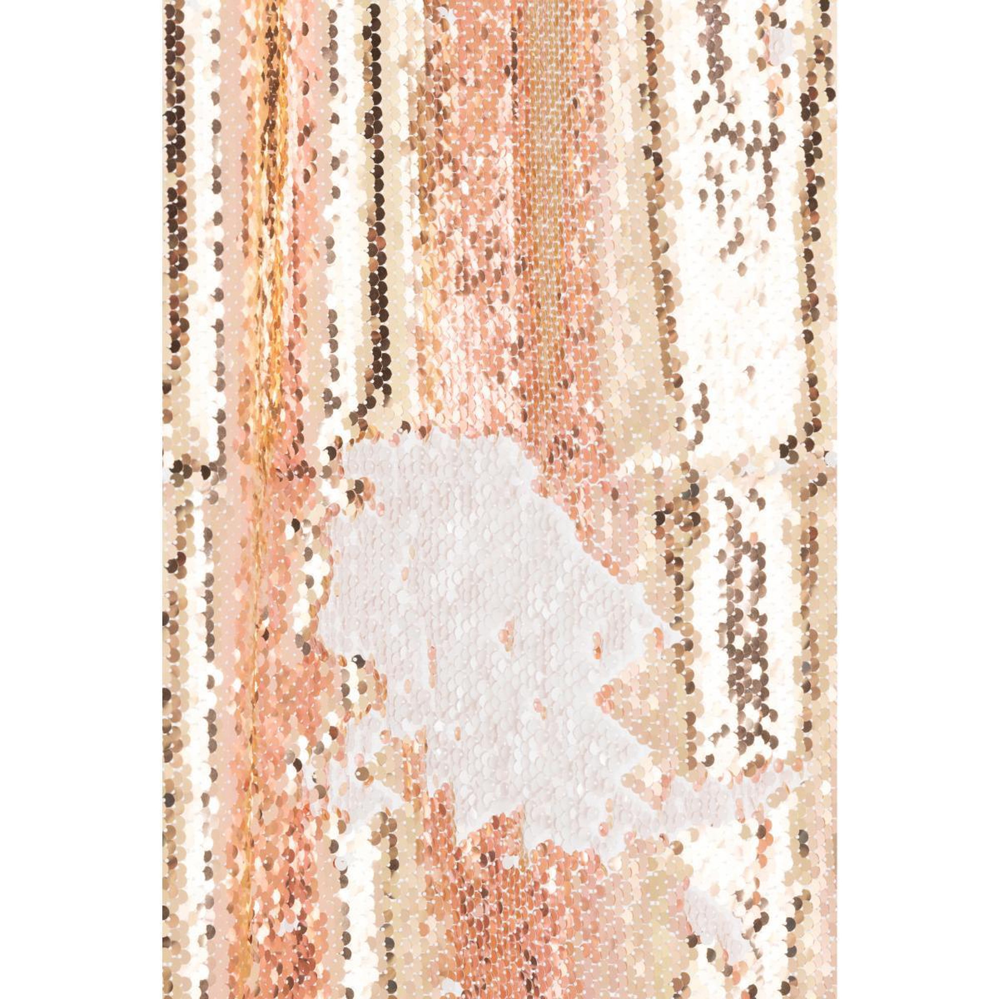 Voir la diapositive 4 : J-LINE Rideau à passants  sequin  125x250cm champagne & blanc