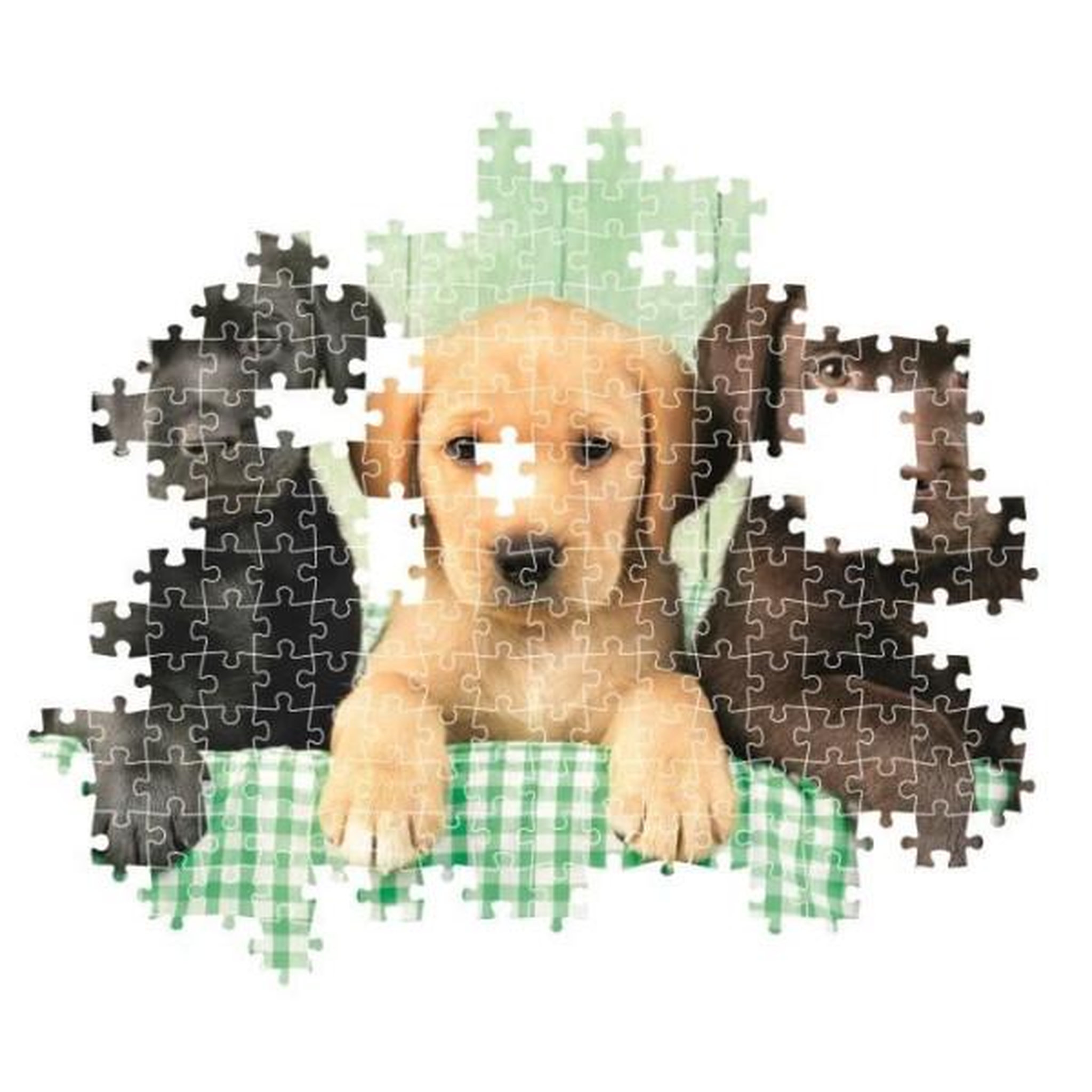 Voir la diapositive 3 : CLEMENTONI Clementoni - compact 1000 pieces - three labs