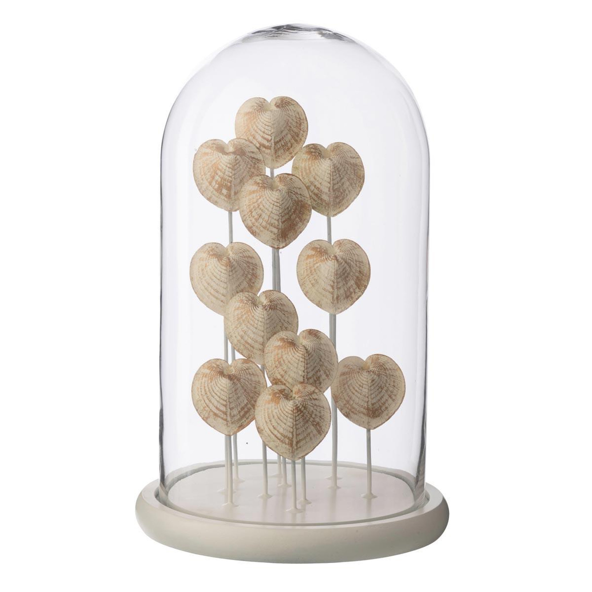 J-LINE Cloche déco en verre  coquillage  38cm bronze