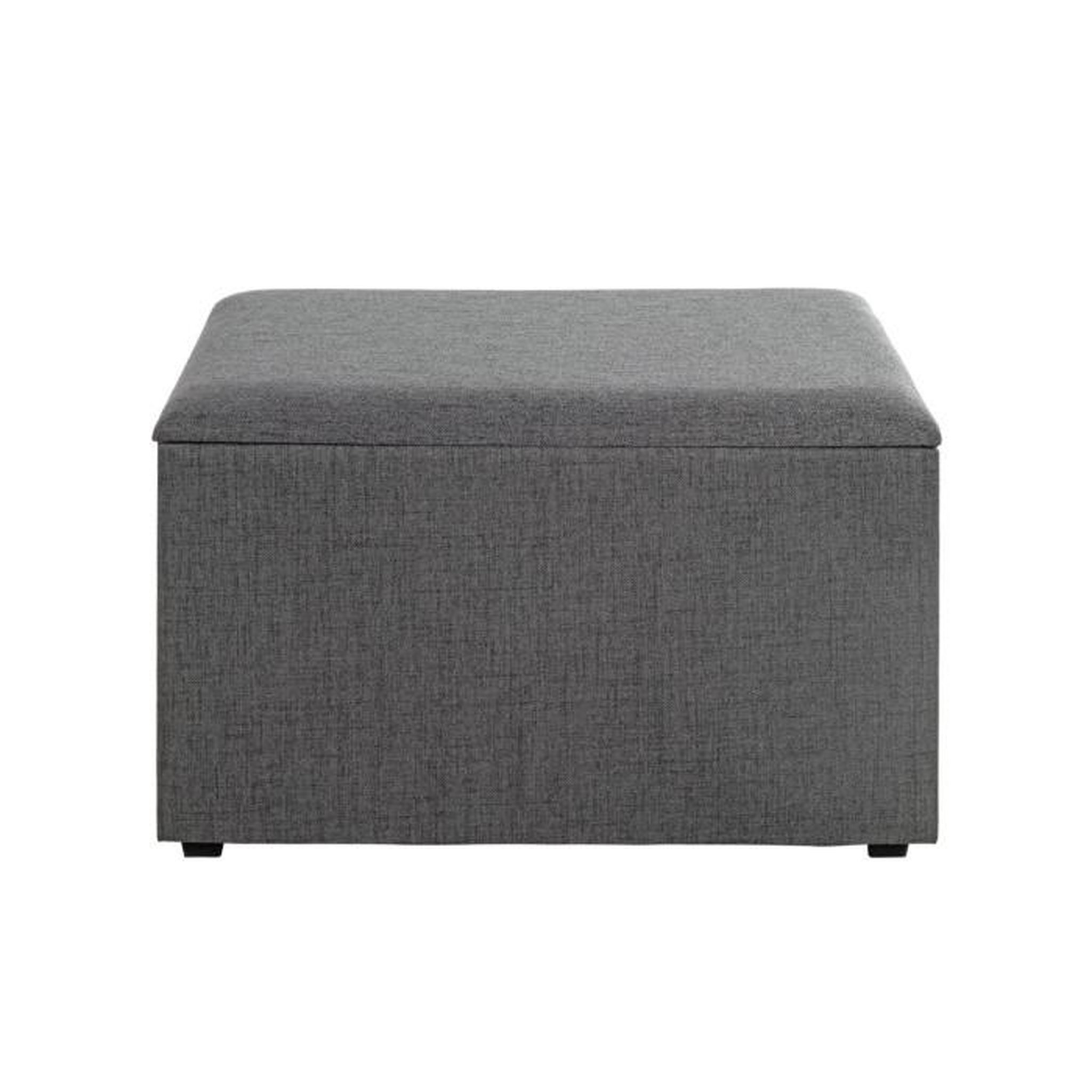 Voir la diapositive 2 : Paris Prix Coffre de Rangement Design  Lumyna  65cm Gris