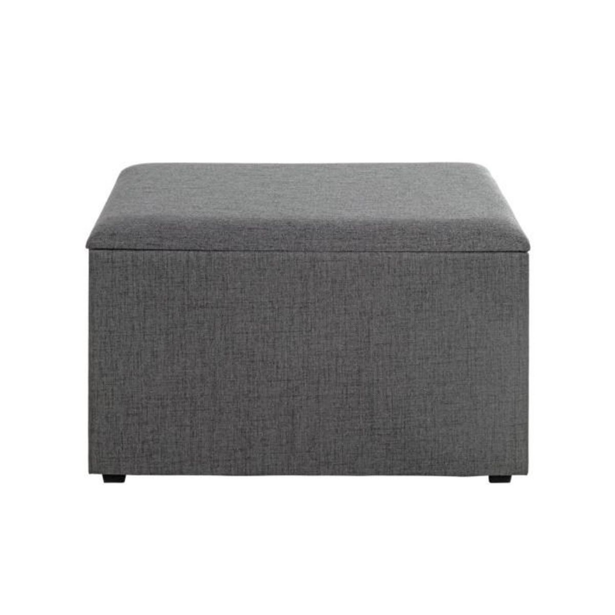 Paris Prix Coffre de Rangement Design  Lumyna  65cm Gris