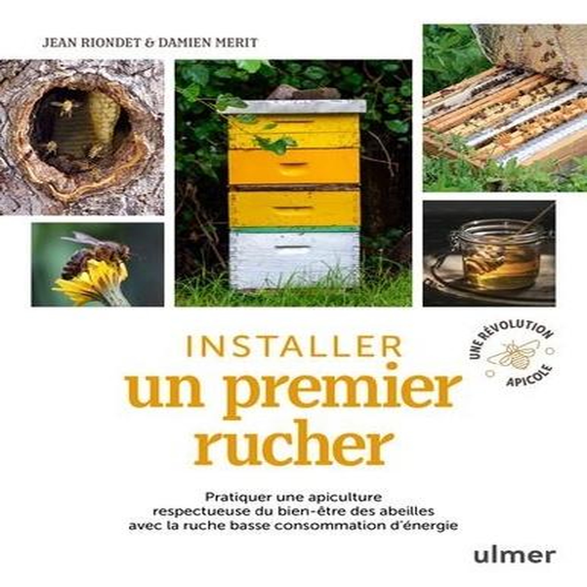INSTALLER UN PREMIER RUCHER. PRATIQUER UNE APICULTURE RESPECTUEUSE DU BIEN-ETRE DES ABEILLES AVEC LA RUCHE BASSE CONSOMMATION D'ENERGIE, Merit Damien