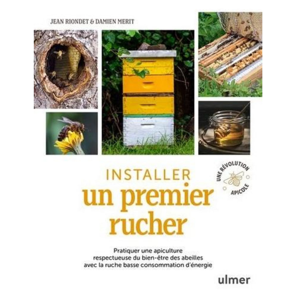 INSTALLER UN PREMIER RUCHER. PRATIQUER UNE APICULTURE RESPECTUEUSE DU BIEN-ETRE DES ABEILLES AVEC LA RUCHE BASSE CONSOMMATION D'ENERGIE, Merit Damien