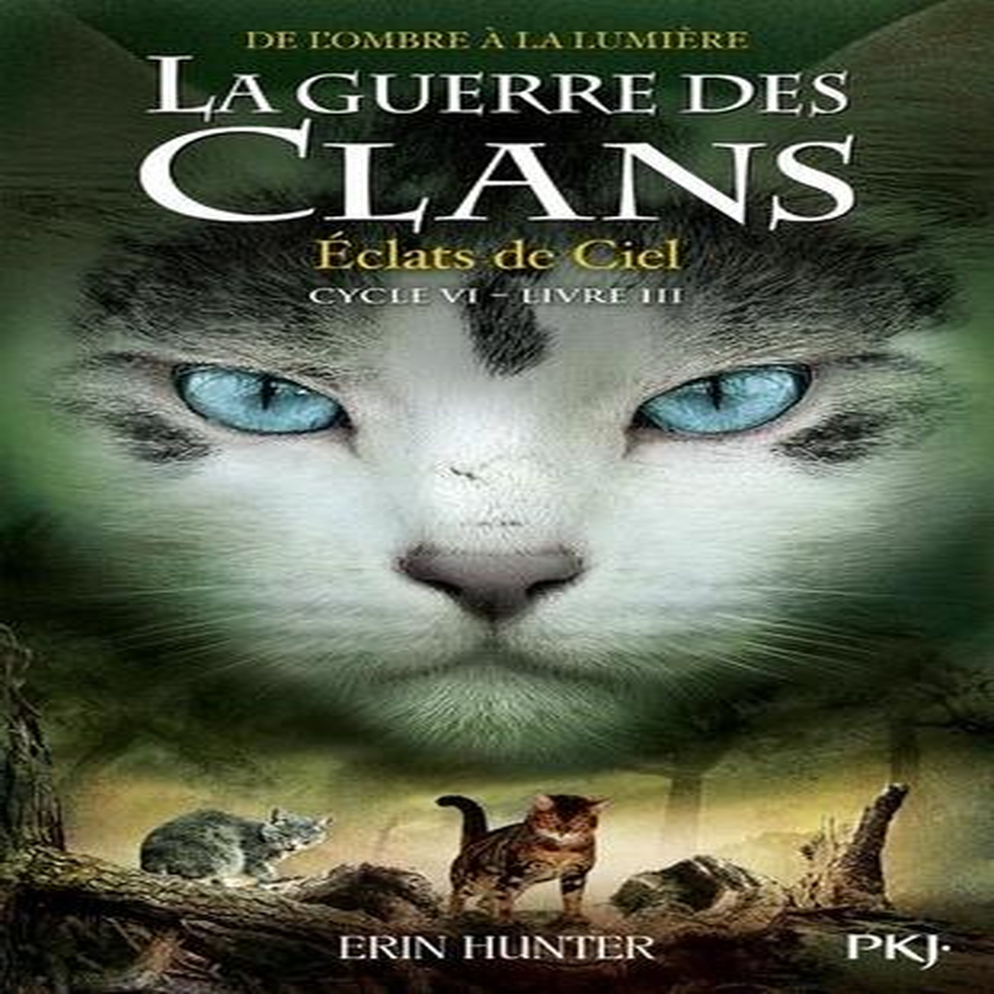 LA GUERRE DES CLANS : DE L'OMBRE A LA LUMIERE (CYCLE VI) TOME 3 : ECLATS DE CIEL, Hunter Erin