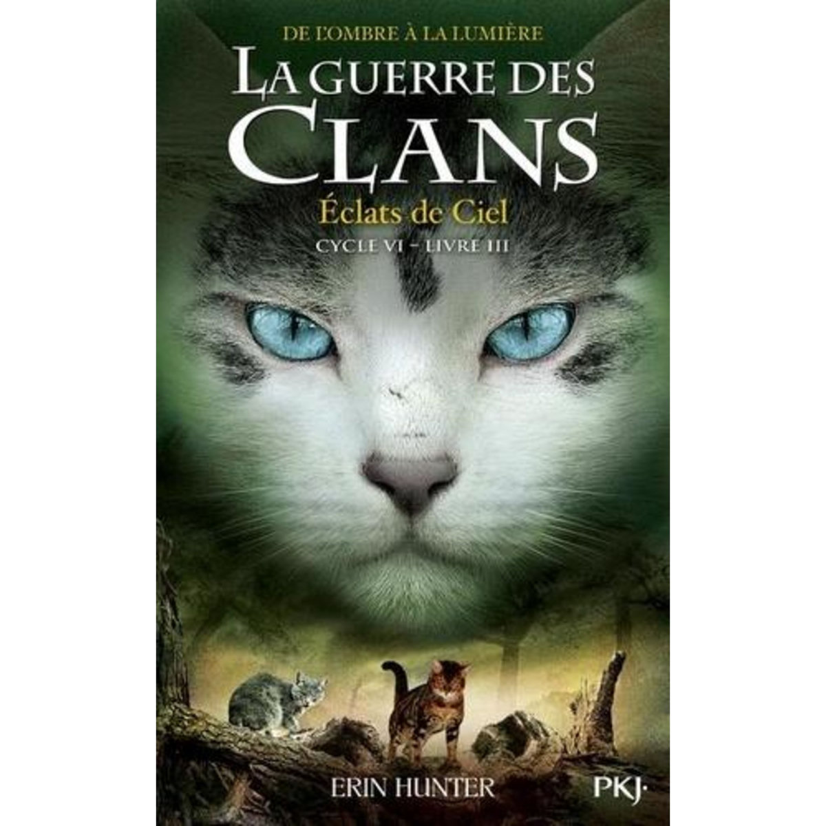 LA GUERRE DES CLANS : DE L'OMBRE A LA LUMIERE (CYCLE VI) TOME 3 : ECLATS DE CIEL, Hunter Erin