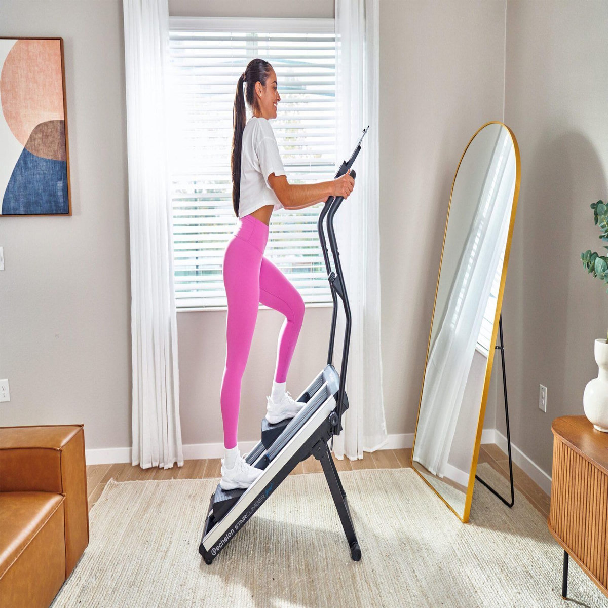 ECHELON Appareil de sport et de fitness - Monte-escalier - Modèle STAIR MAX SPORT - ECHELON - Maison/Appartement