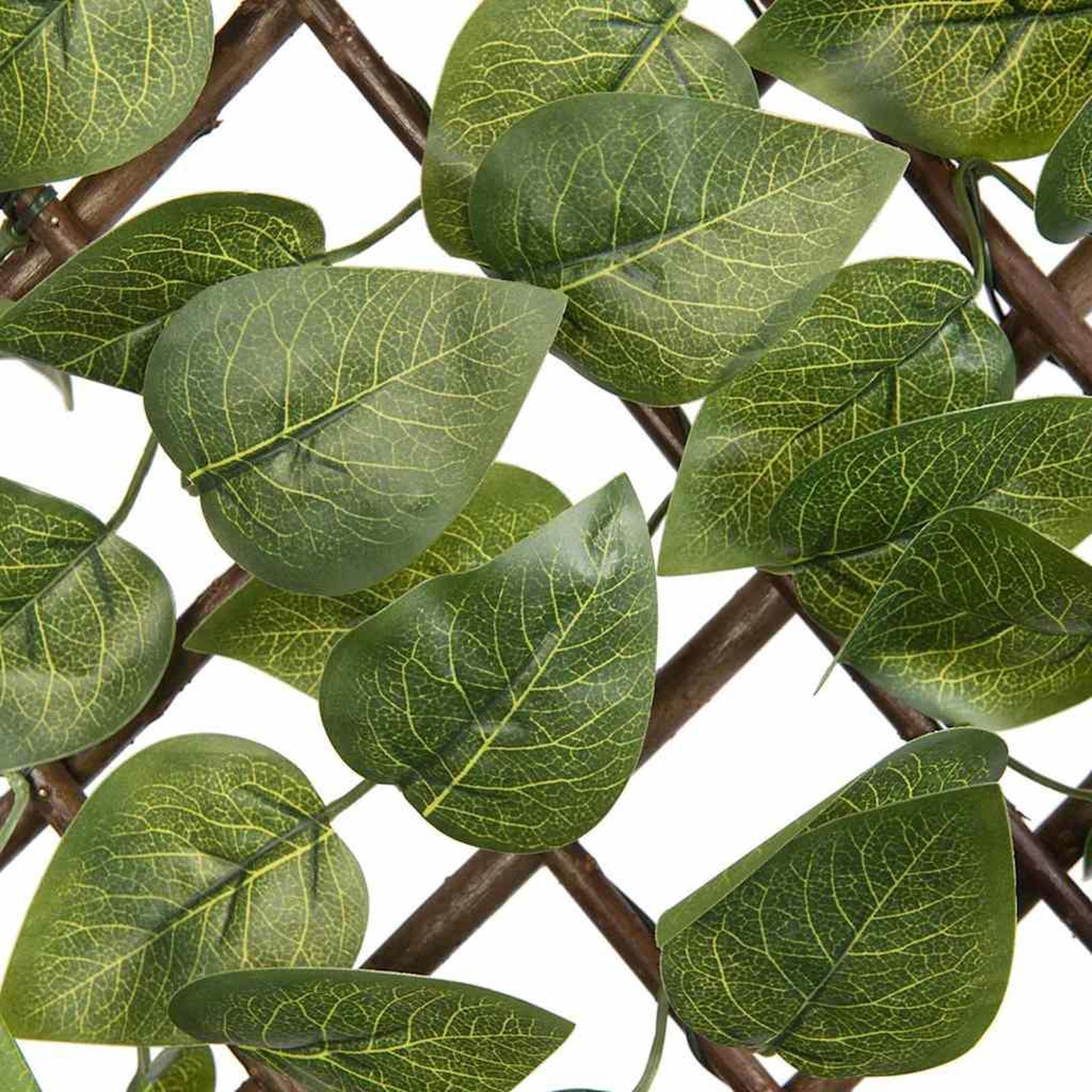 Voir la diapositive 6 : NATURE Treillis extensible en osier avec feuillage PE Laurier palme 180 x 90 cm - Nature