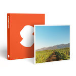 Smartbox Visite d'un domaine viticole près de Perpignan avec dégustation et 6 bouteilles offertes - Coffret Cadeau Gastronomie