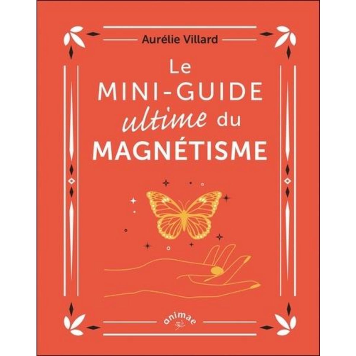 LE MINI-GUIDE ULTIME DU MAGNETISME, Villard Aurélie