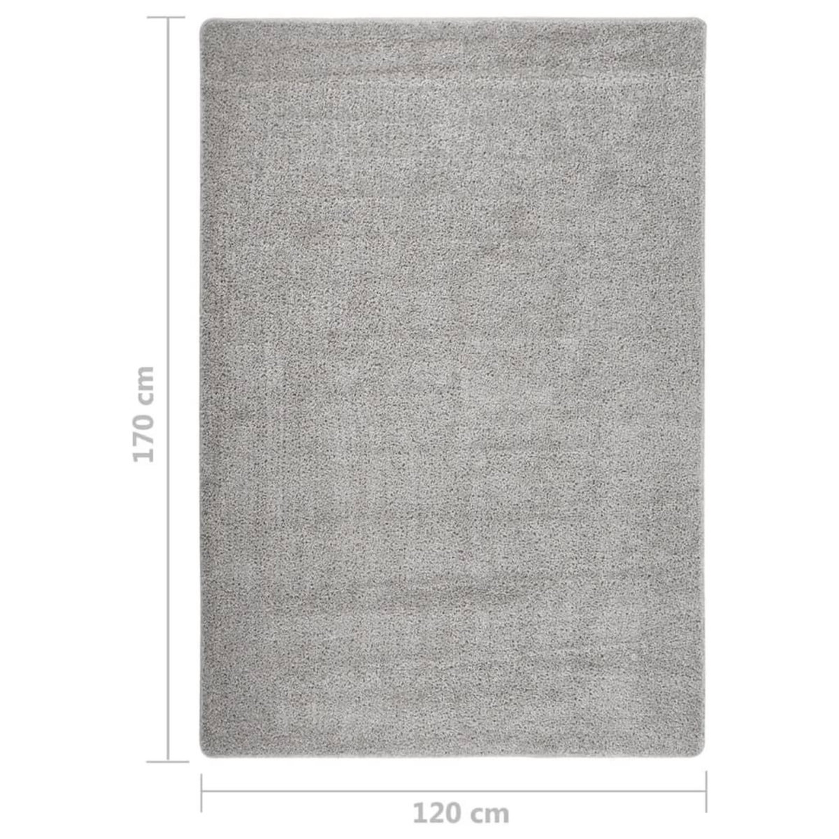 VIDAXL Tapis shaggy antiderapant Gris clair 120x170 cm