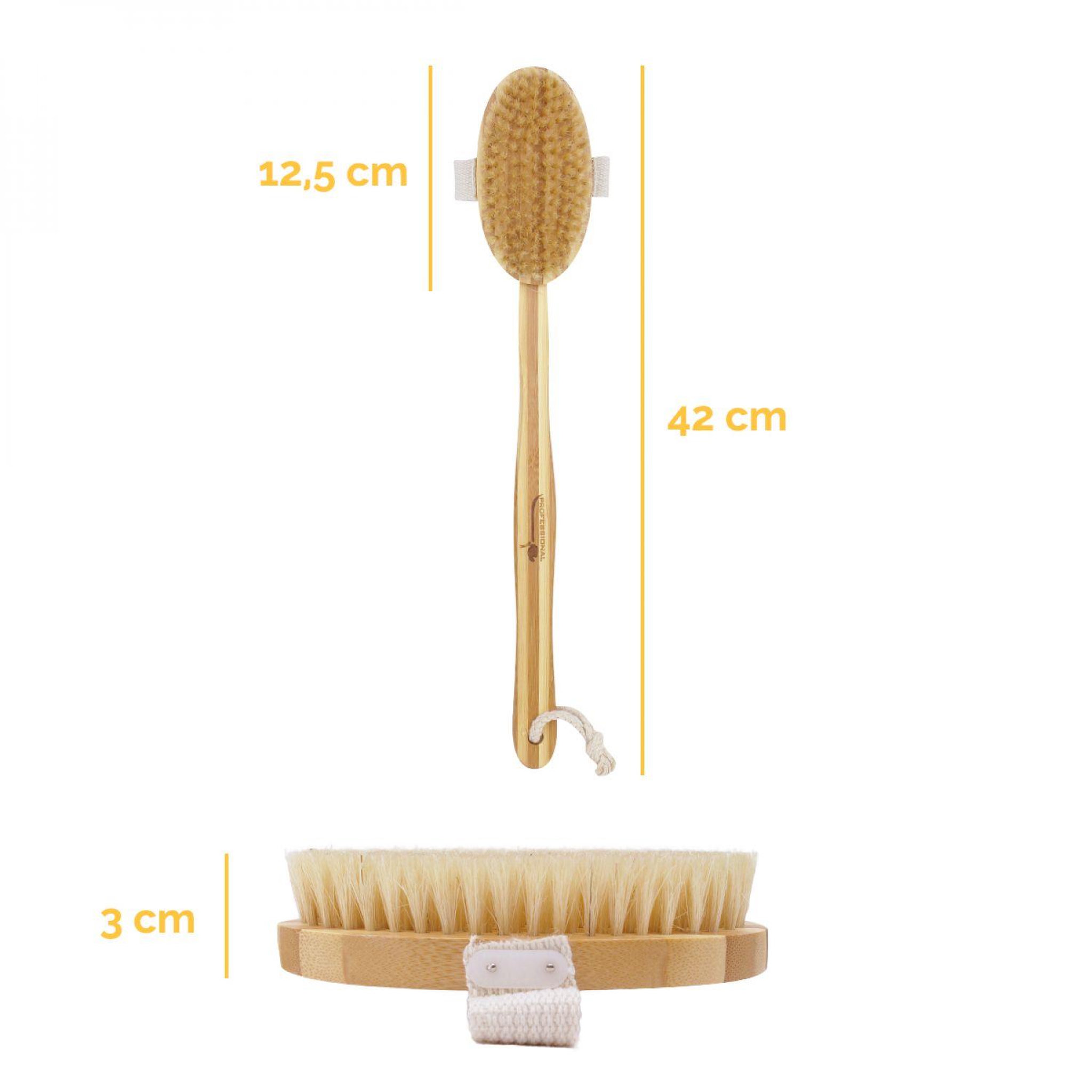 Voir la diapositive 2 : VIVEZEN Brosse à poils en bambou 42 cm avec manche amovible et poignée de maintien