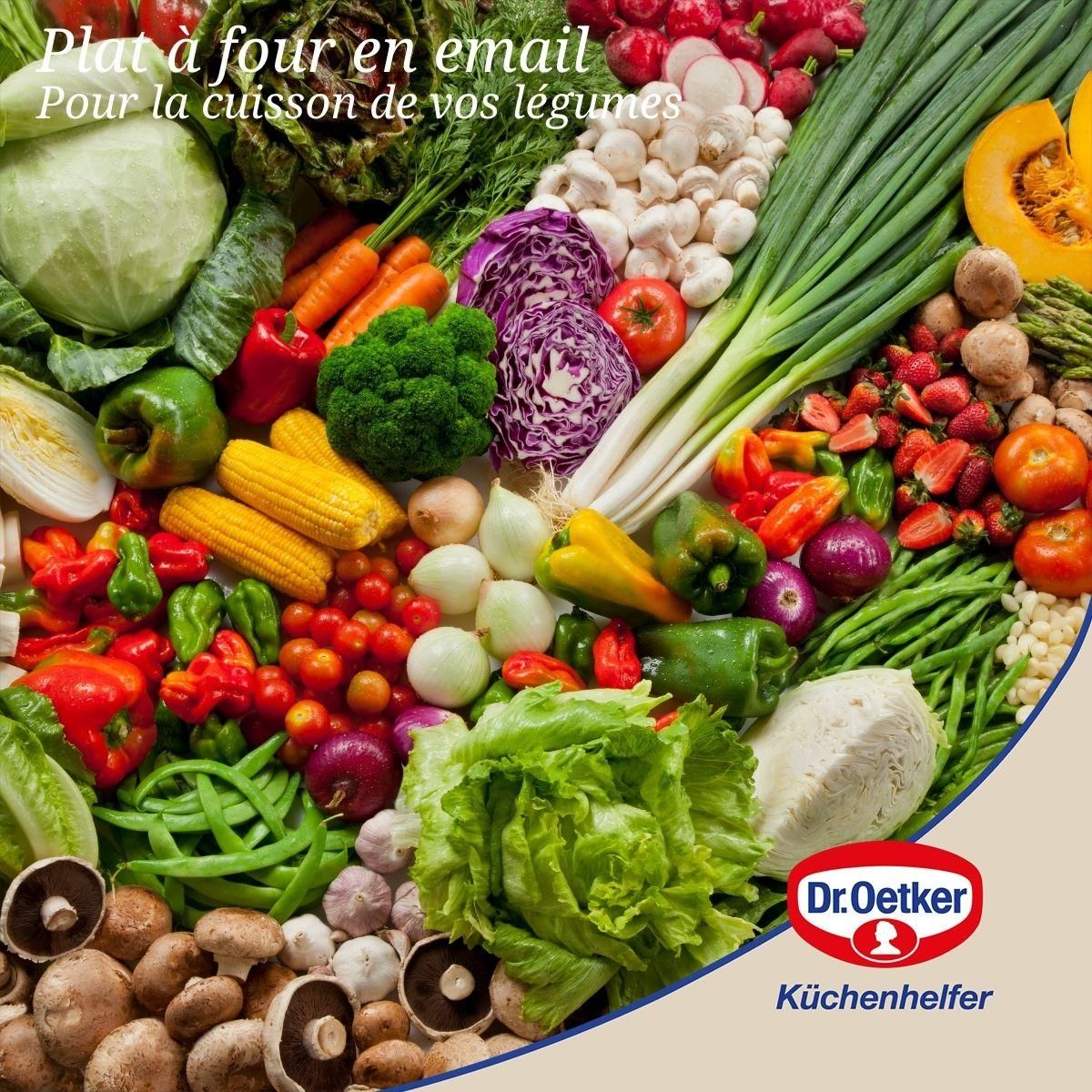 DR.OETKER Plat à four avec couvercle en acier émaillé 42 x 34 cm Dr. Oetker Back-Idee Kreativ