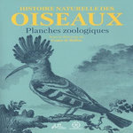 HISTOIRE NATURELLE DES OISEAUX. PLANCHES ZOOLOGIQUES, Comte Buffon