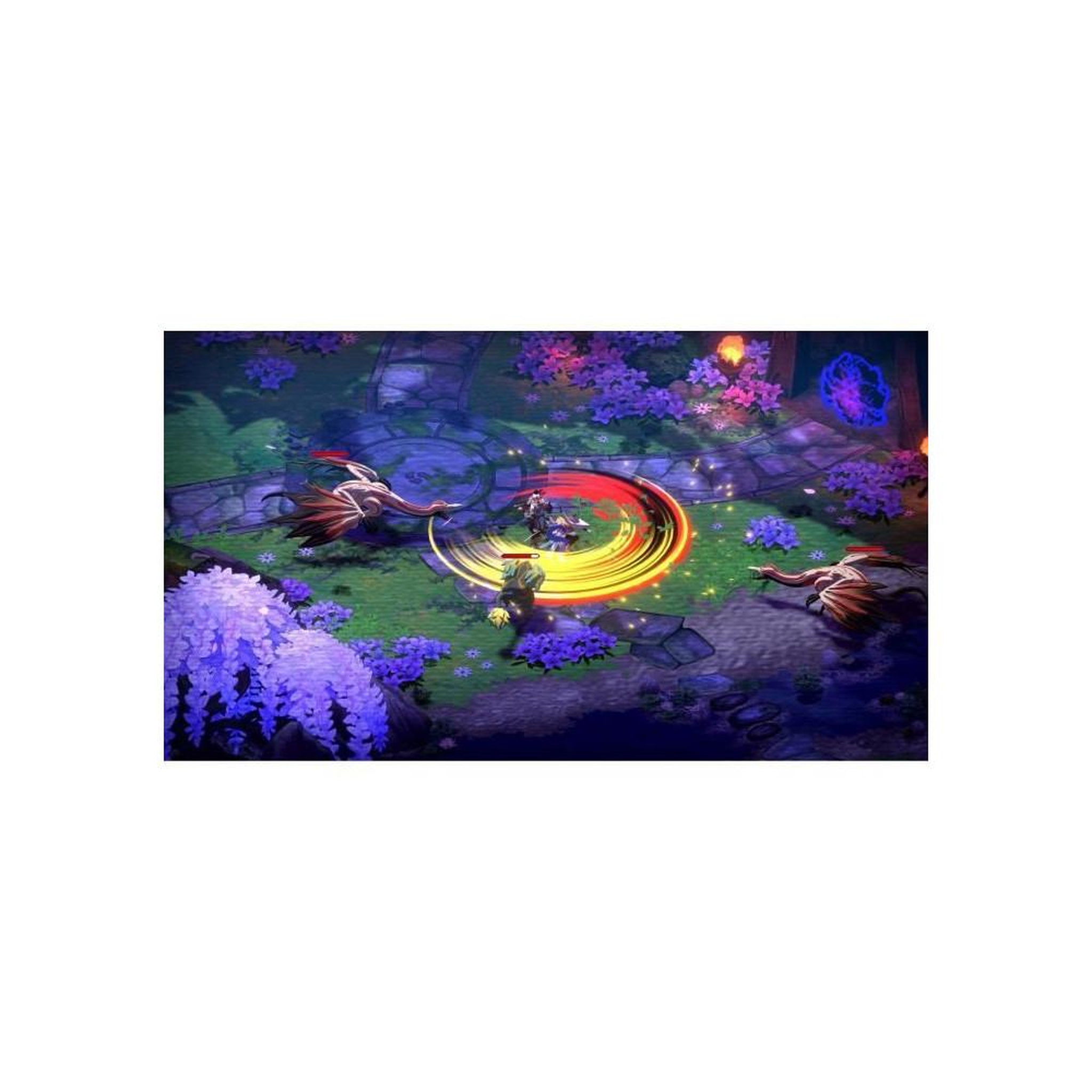 Voir la diapositive 4 : BANDAI NAMCO ENTERTAINMENT Towa and the Guardians of the Sacred Tree - Edition Limitée - Jeu PS5