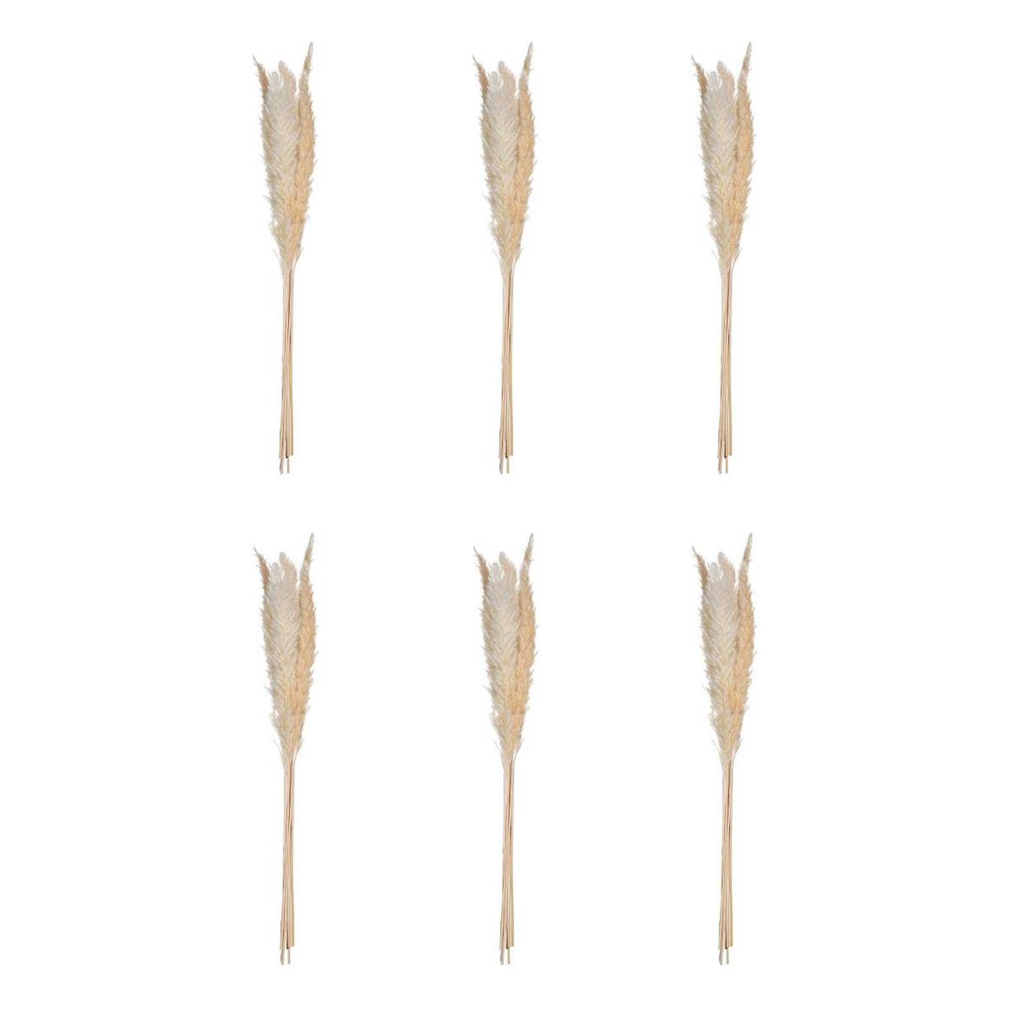 ATMOSPHERA Lot de 6 fleurs séchées  pampa  66cm naturel