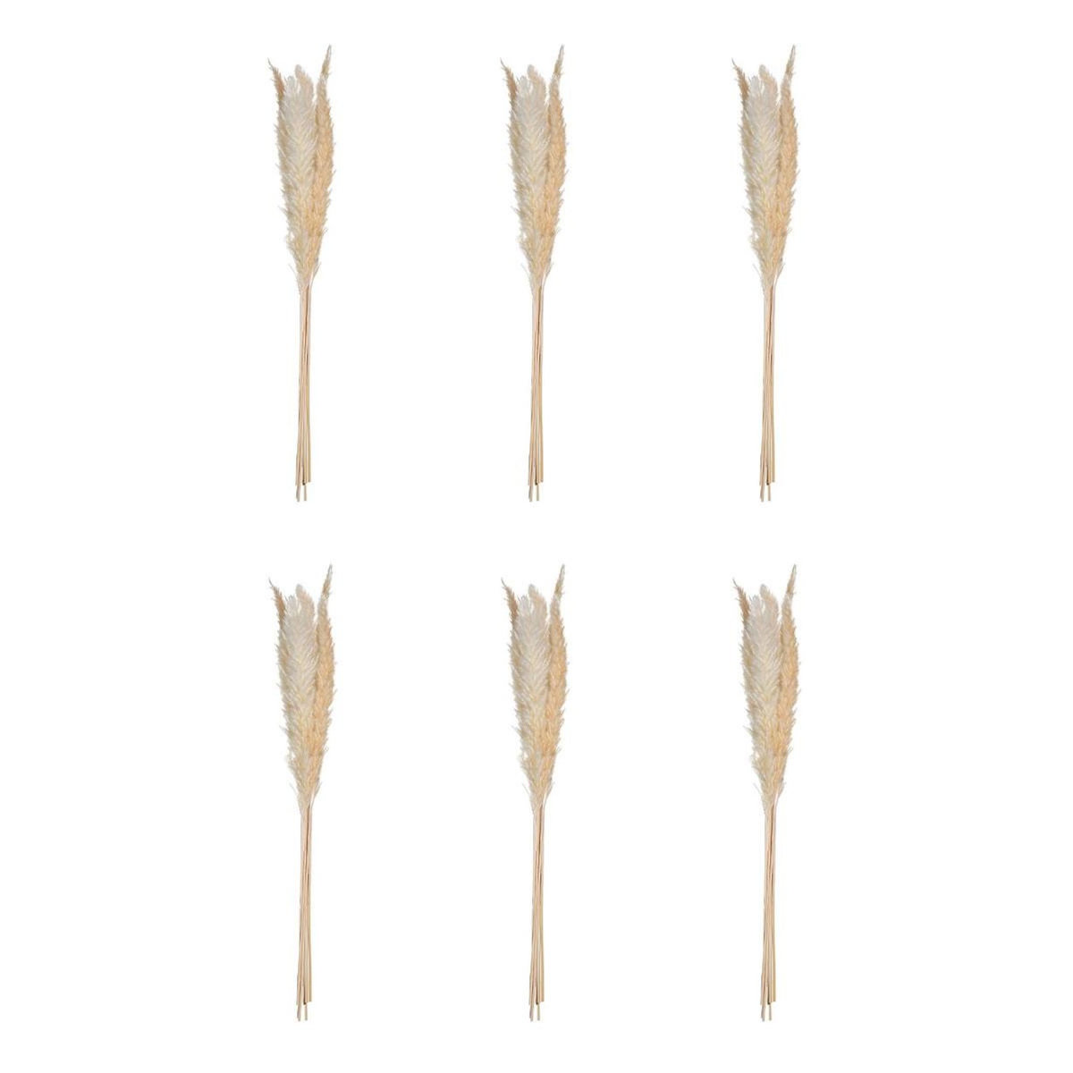 ATMOSPHERA Lot de 6 Fleurs Séchées  Pampa  66cm Naturel