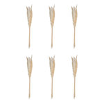ATMOSPHERA Lot de 6 Fleurs Séchées  Pampa  66cm Naturel