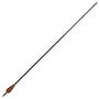 Voir la diapositive 5 : VIDAXL Flèche d arc recourbé standard 12 pcs 30 0,76 cm carbone