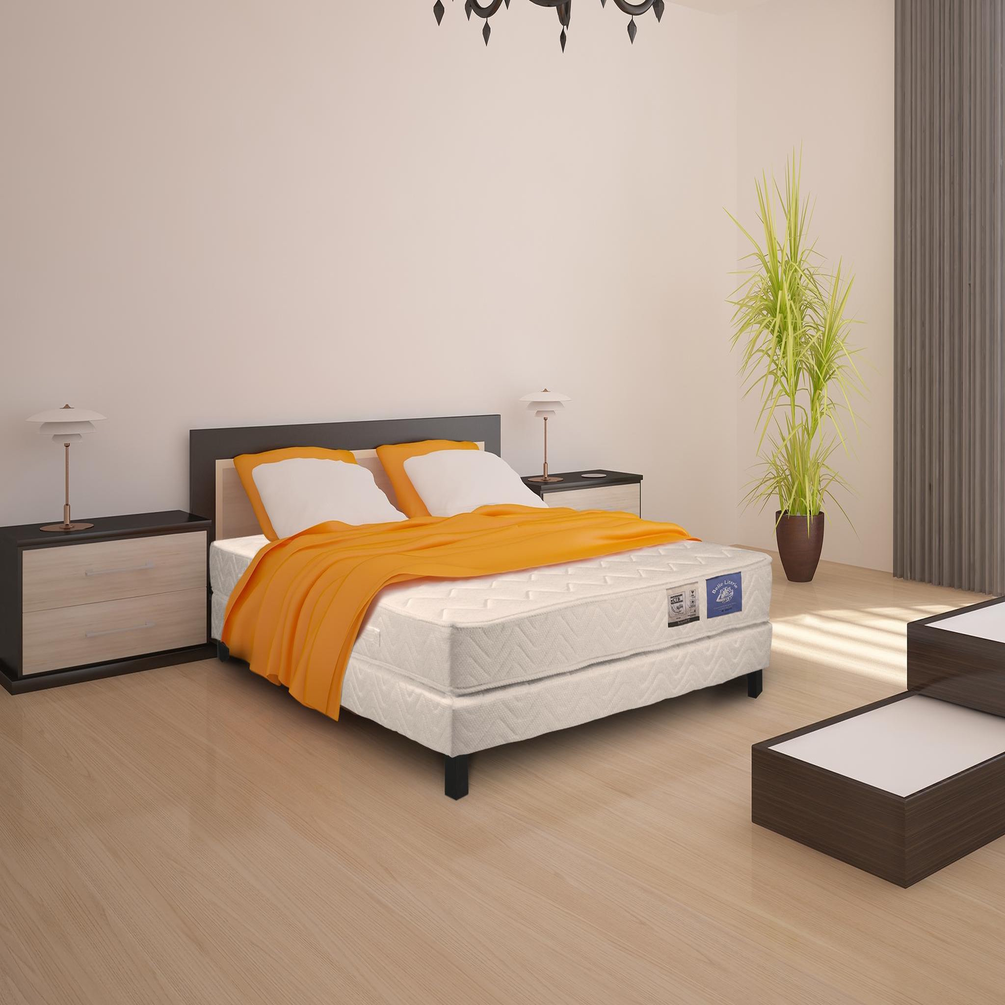 Voir la diapositive 2 : BELLE LITERIE BENOIST Matelas Mousse 140x190 cm PERCE NEIGE