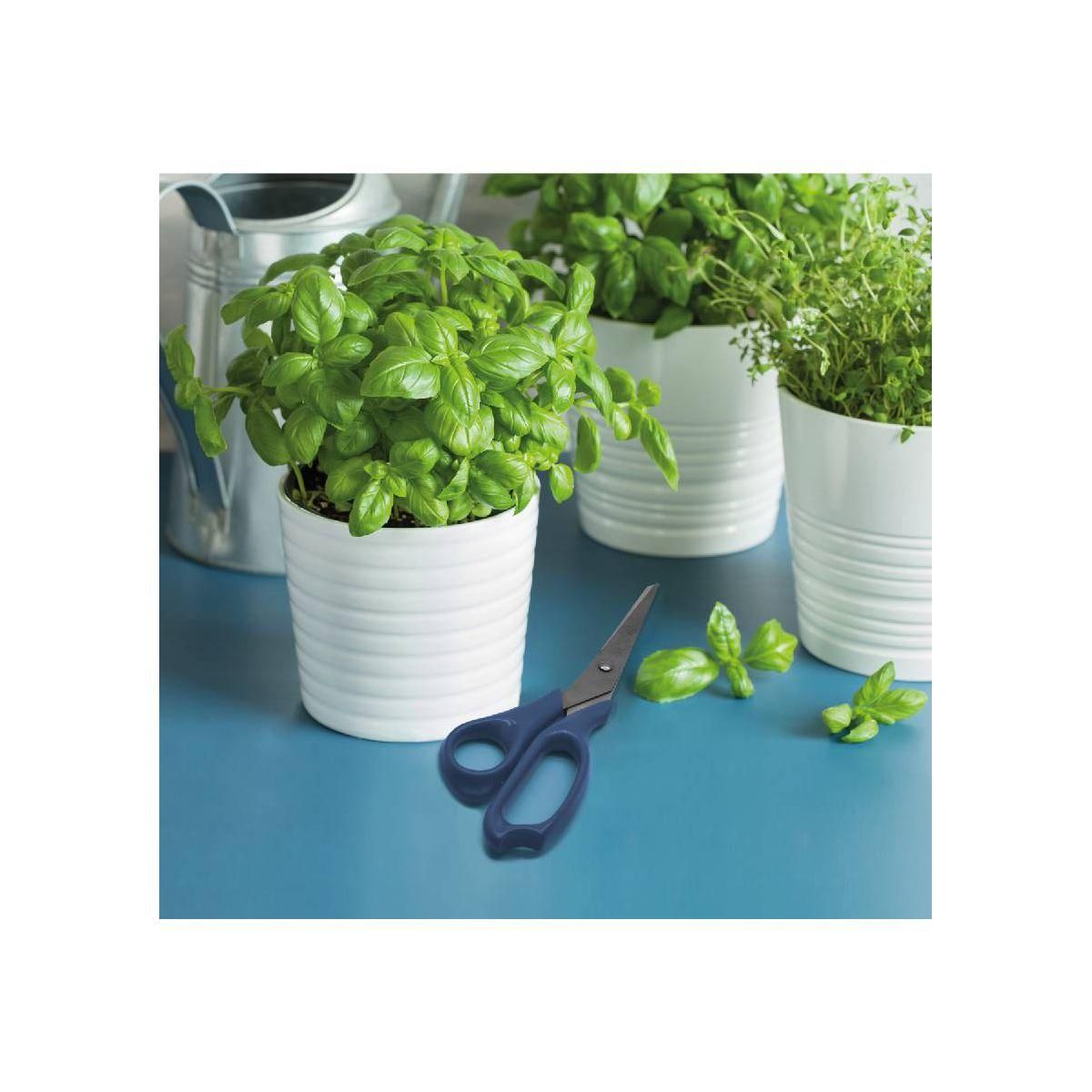 Fackelmann Ciseaux de cuisine Fackelmann Elemental