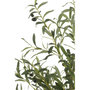 Voir la diapositive 2 : Paris Prix Plante Artificielle en Pot  Olivier  180cm Vert