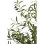 Voir la diapositive 2 : Paris Prix Plante Artificielle en Pot  Olivier  180cm Vert