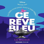 CE REVE BLEU. ET SI ALADDIN N'AVAIT JAMAIS TROUVE LA LAMPE MAGIQUE ?, Braswell Liz
