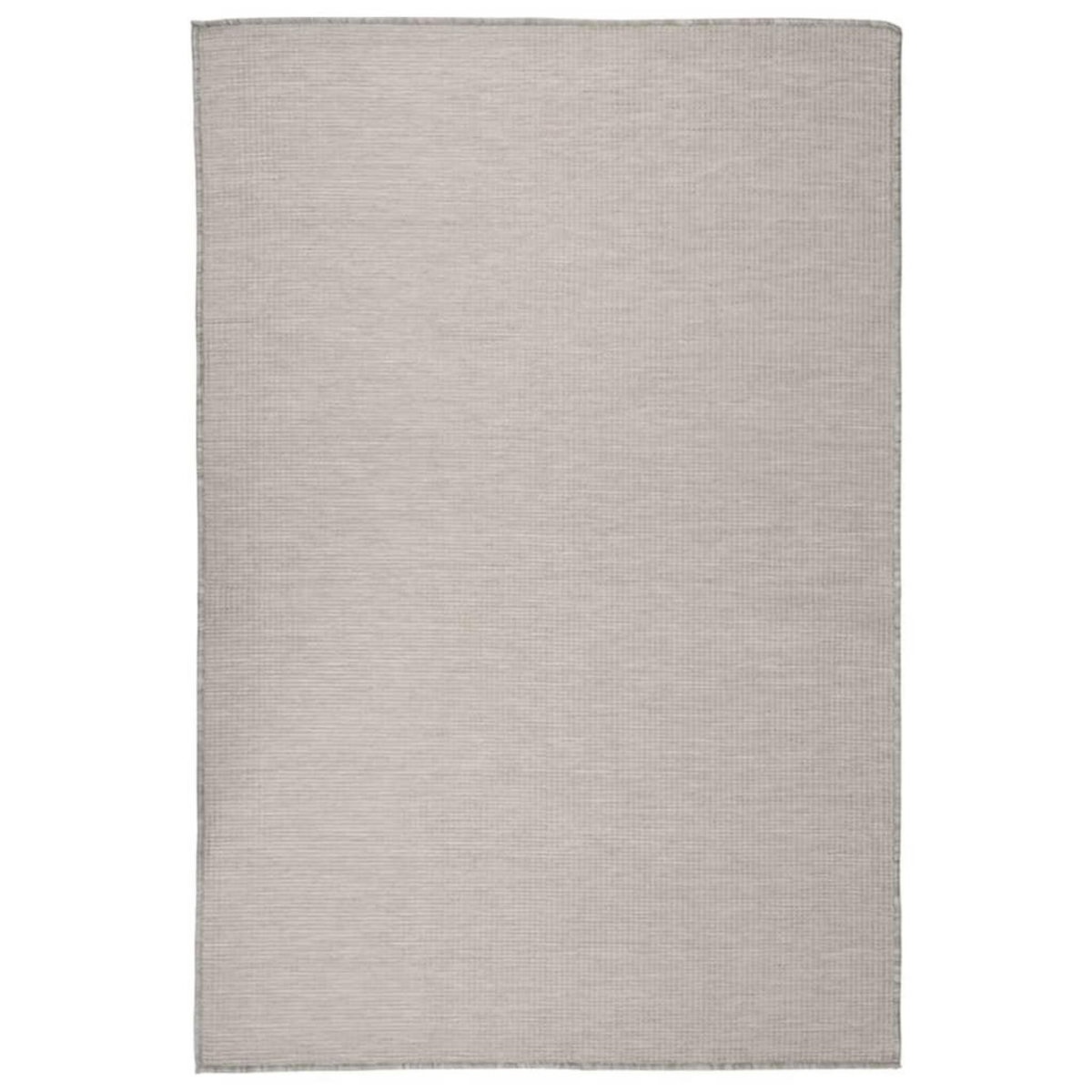 VIDAXL Tapis a tissage plat d'exterieur 120x170 cm Taupe