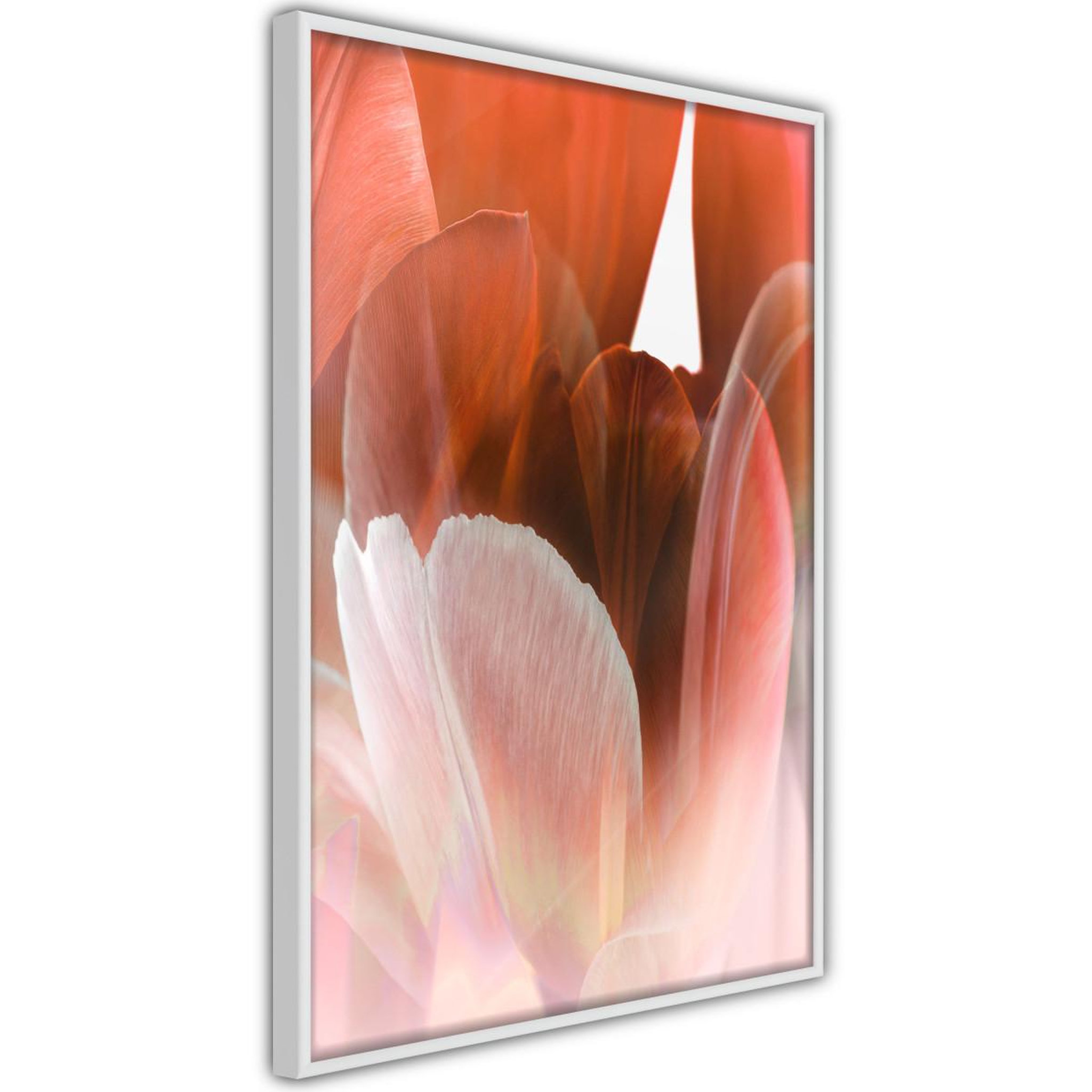Paris Prix Affiche murale encadrée  tulip petals