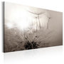 Voir la diapositive 1 : Paris Prix Tableau Imprimé  Beautiful Summer : Dandelions