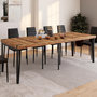 Voir la diapositive 2 : ID MARKET Table console extensible AUSTRIA 10 personnes 235 cm design industriel