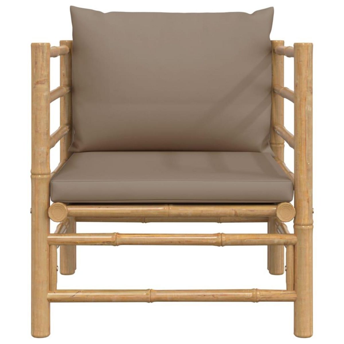 VIDAXL Canape de jardin avec coussins taupe bambou